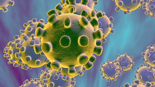 Dalaba-COVID-19 : 13 cas positifs  à  l’Institut Supérieur des Sciences de Médecine Vétérinaire