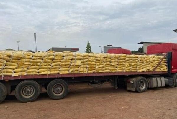 Guinée-Ramadan:  30 tonnes de riz offerts aux  fidèles musulmans par le joueur Naby Kéita