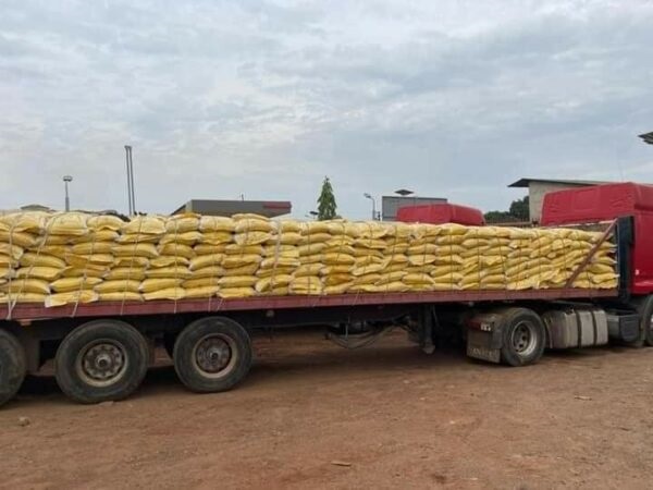 Guinée-Ramadan:  30 tonnes de riz offerts aux  fidèles musulmans par le joueur Naby Kéita