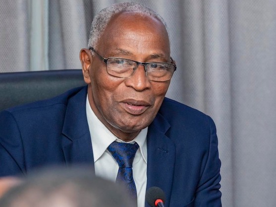 Guinée: Les membres du gouvernement de Bah Oury nommés