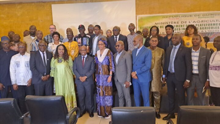 Guinée-Agriculture : Une nouvelle plateforme digitale pour une gestion transparente des intrants agricoles